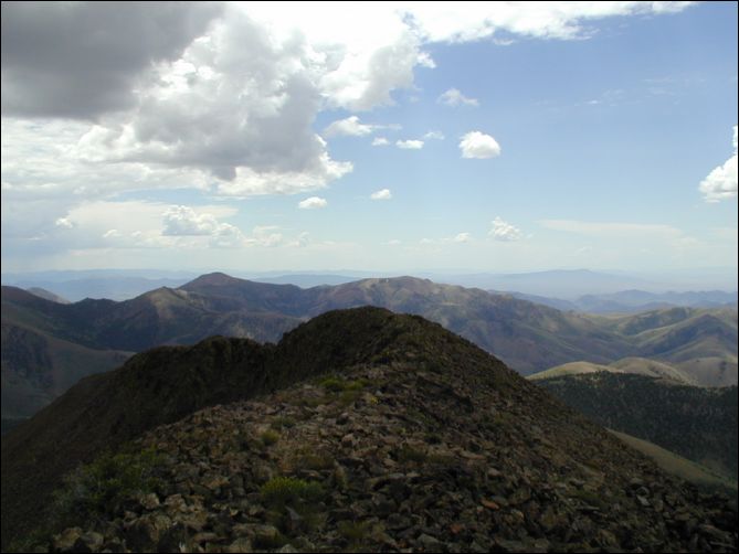 2005-08_dsurv_toiyabe_065.jpg