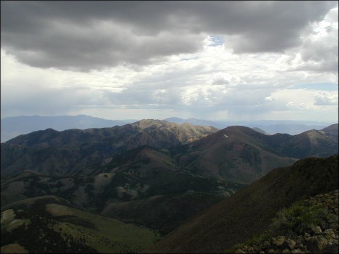 2005-08_dsurv_toiyabe_066.jpg