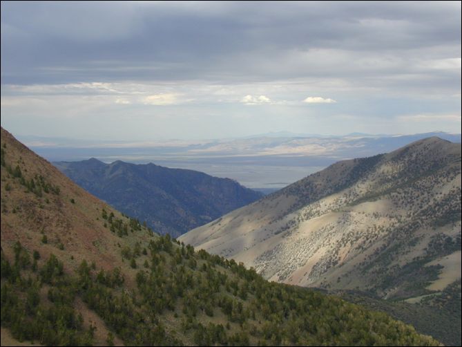 2005-08_dsurv_toiyabe_069.jpg