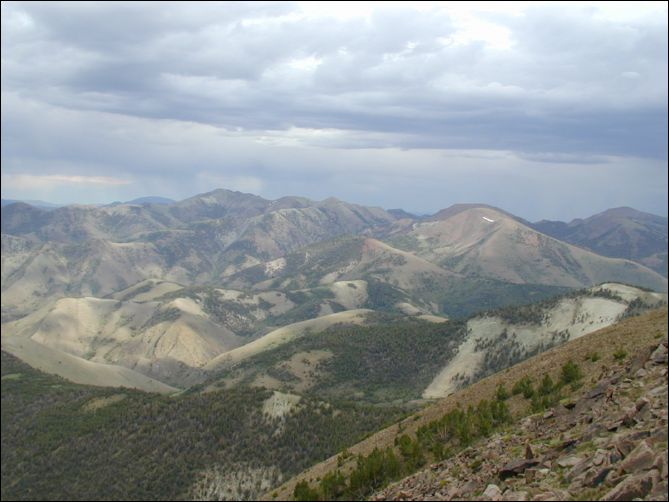 2005-08_dsurv_toiyabe_071.jpg