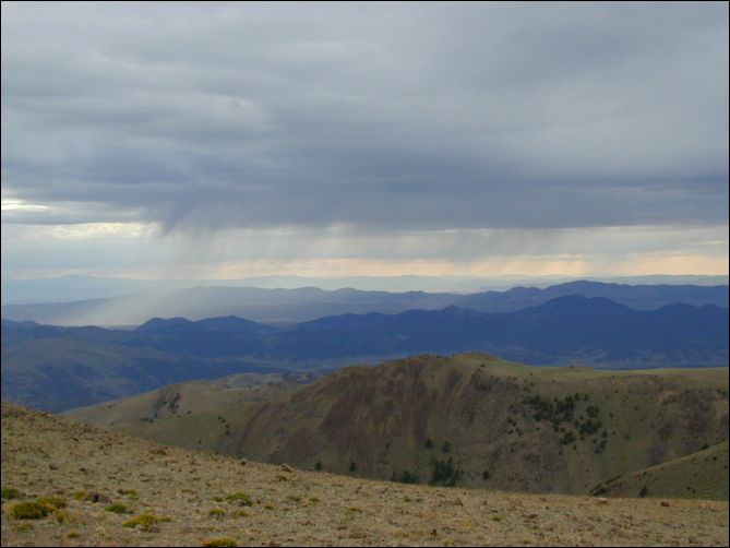 2005-08_dsurv_toiyabe_072.jpg