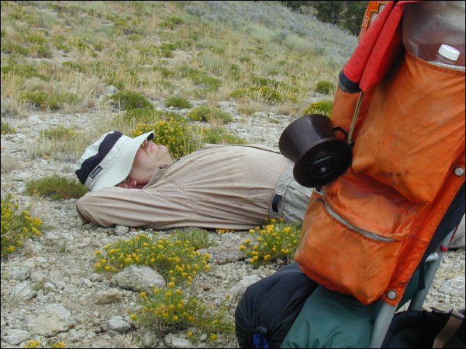 2005-08_dsurv_toiyabe_051.jpg