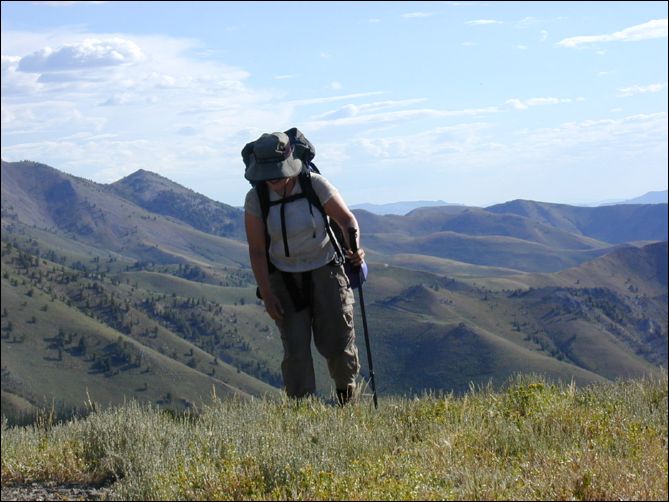 2005-08_dsurv_toiyabe_165.jpg