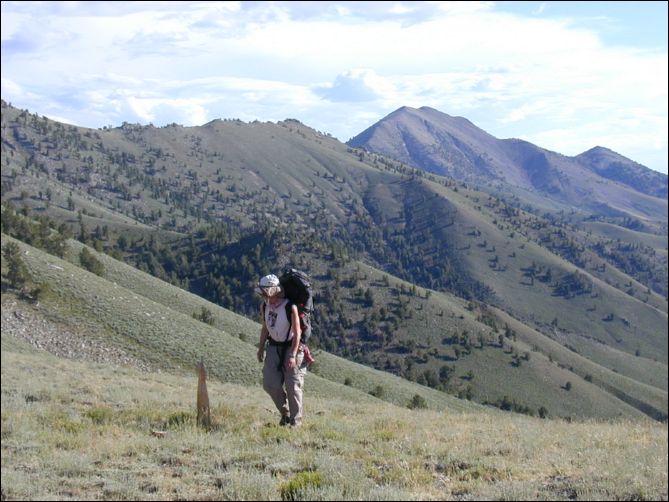 2005-08_dsurv_toiyabe_169.jpg