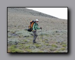 Click to enlarge 2005-08_dsurv_toiyabe_101.jpg