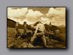 Toiyabe Crest Trail People fauna