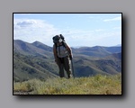 Click to enlarge 2005-08_dsurv_toiyabe_165.jpg