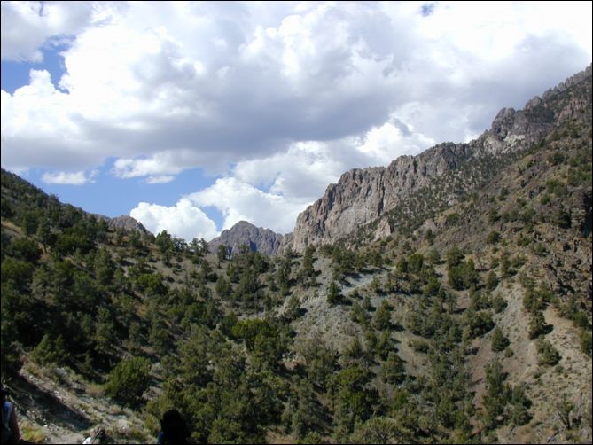 2005-08_dsurv_toiyabe_010.jpg