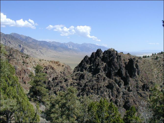 2005-08_dsurv_toiyabe_013.jpg