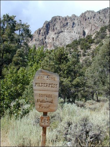 2005-08_dsurv_toiyabe_015.jpg