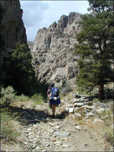2005-08_dsurv_toiyabe_018.jpg