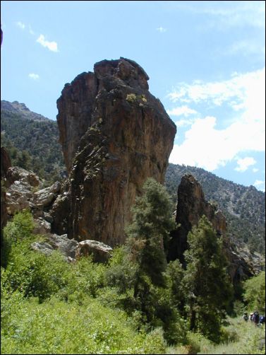 2005-08_dsurv_toiyabe_019.jpg