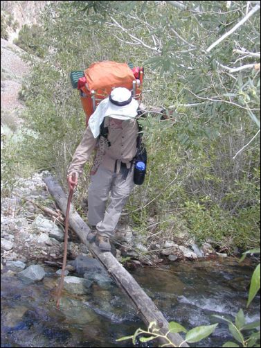 2005-08_dsurv_toiyabe_030.jpg