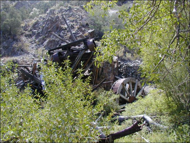 2005-08_dsurv_toiyabe_031.jpg