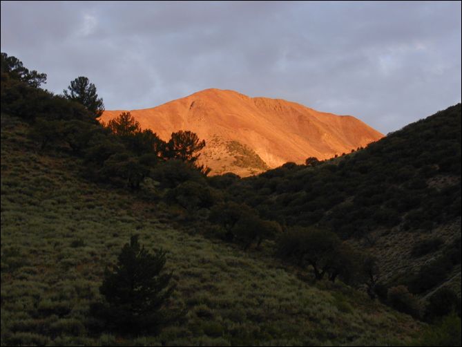 2005-08_dsurv_toiyabe_032.jpg
