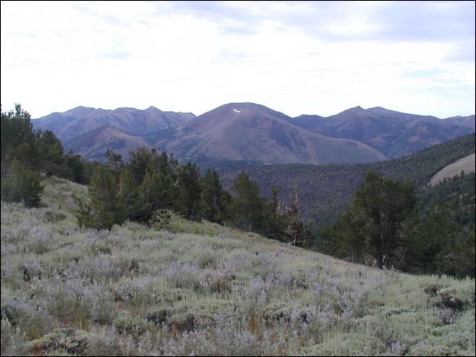 2005-08_dsurv_toiyabe_034.jpg