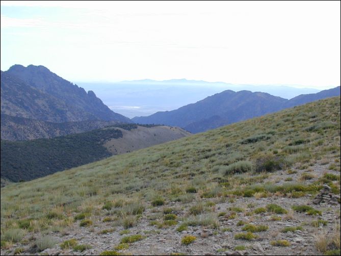 2005-08_dsurv_toiyabe_037.jpg