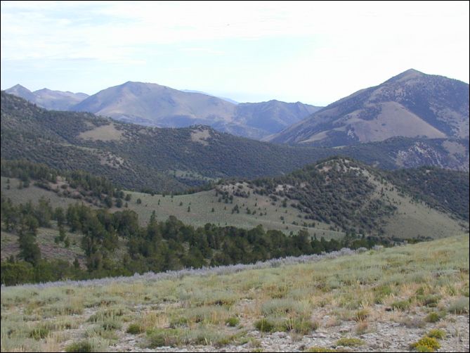 2005-08_dsurv_toiyabe_038.jpg