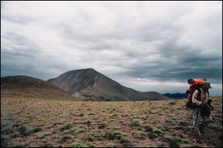 2005-08_dsurv_toiyabe_047_lb.jpg