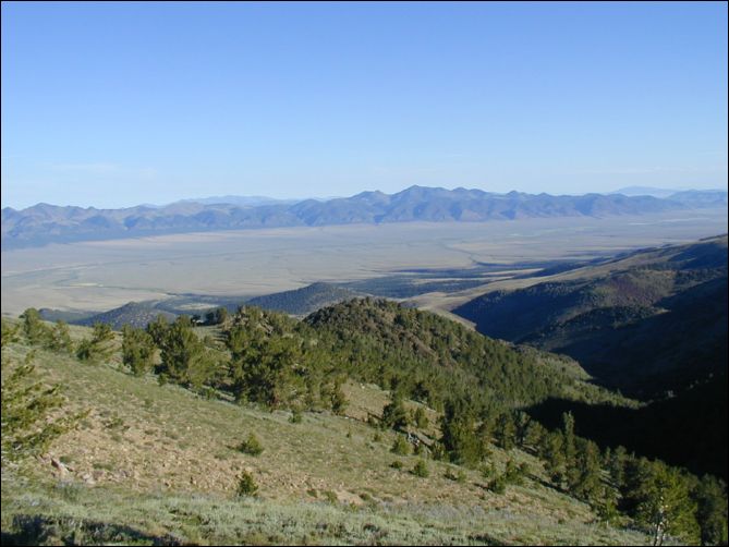 2005-08_dsurv_toiyabe_081.jpg