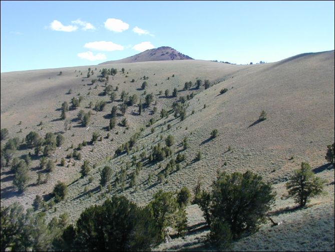 2005-08_dsurv_toiyabe_082.jpg