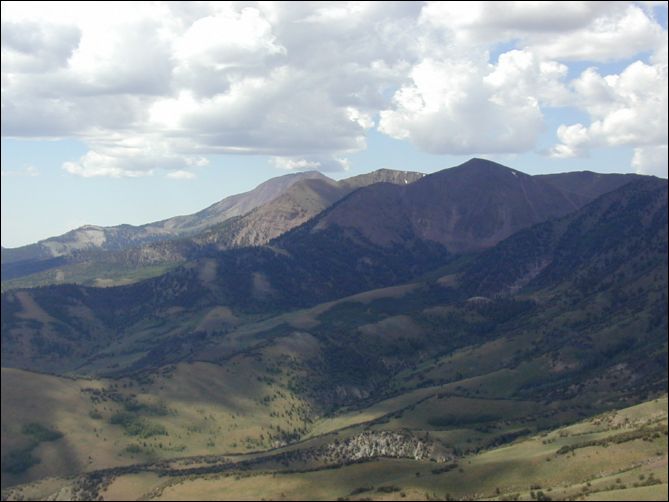 2005-08_dsurv_toiyabe_084.jpg