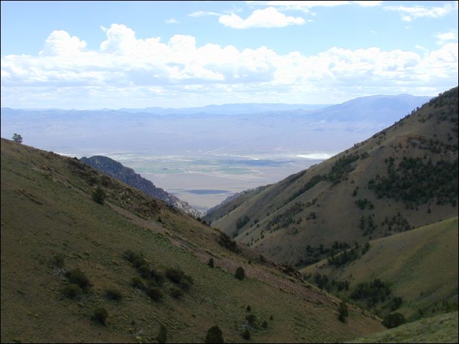 2005-08_dsurv_toiyabe_085.jpg