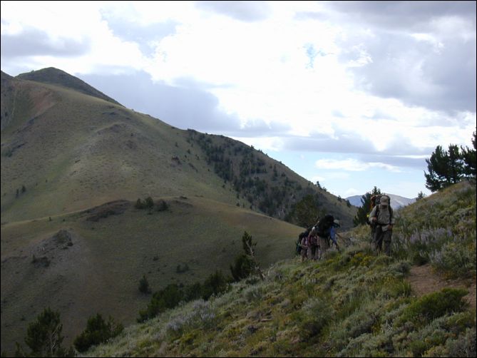 2005-08_dsurv_toiyabe_086.jpg