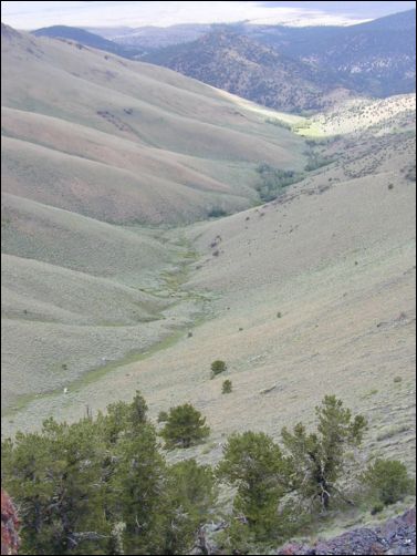 2005-08_dsurv_toiyabe_105.jpg