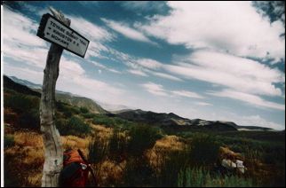 2005-08_dsurv_toiyabe_117_lb.jpg