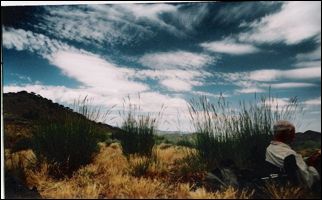 2005-08_dsurv_toiyabe_118_lb.jpg