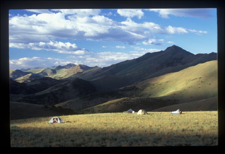 2005-08_dsurv_toiyabe_121_bb.jpg