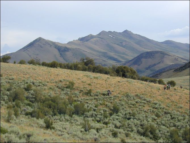 2005-08_dsurv_toiyabe_147.jpg