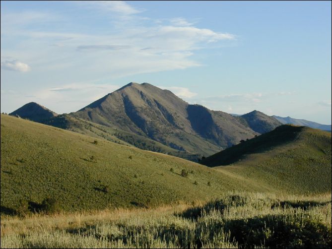 2005-08_dsurv_toiyabe_182.jpg