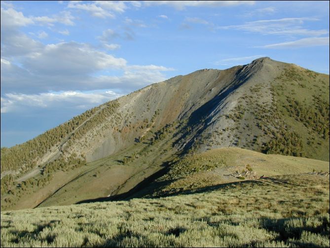 2005-08_dsurv_toiyabe_183.jpg