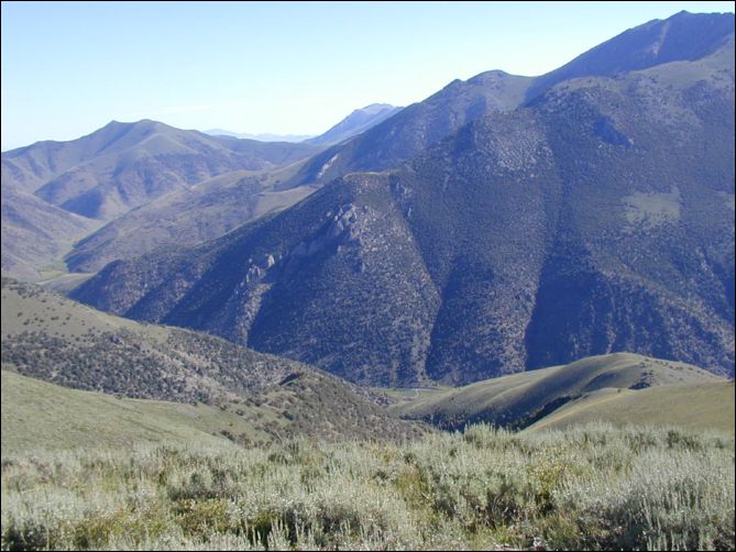 2005-08_dsurv_toiyabe_187.jpg