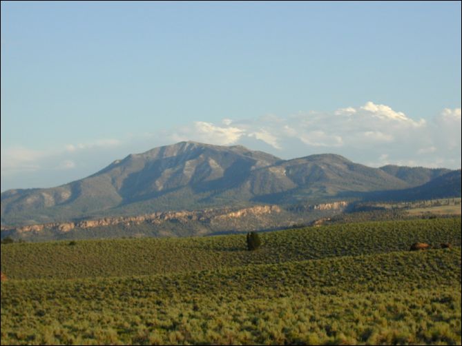 2005-08_dsurv_toiyabe_201.jpg