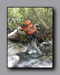 Click to enlarge 2005-08_dsurv_toiyabe_016.jpg