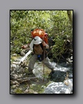 Click to enlarge 2005-08_dsurv_toiyabe_017.jpg