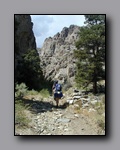 Click to enlarge 2005-08_dsurv_toiyabe_018.jpg