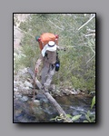 Click to enlarge 2005-08_dsurv_toiyabe_030.jpg