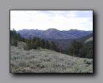 Click to enlarge 2005-08_dsurv_toiyabe_034.jpg