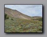 Click to enlarge 2005-08_dsurv_toiyabe_036.jpg
