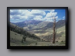 Click to enlarge 2005-08_dsurv_toiyabe_045_bb.jpg