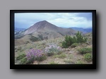 Click to enlarge 2005-08_dsurv_toiyabe_046_bb.jpg