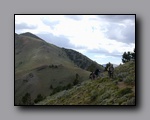 Click to enlarge 2005-08_dsurv_toiyabe_086.jpg