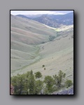 Click to enlarge 2005-08_dsurv_toiyabe_105.jpg