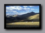 Click to enlarge 2005-08_dsurv_toiyabe_121_bb.jpg