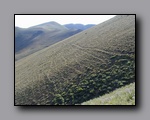 Click to enlarge 2005-08_dsurv_toiyabe_122.jpg