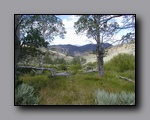 Click to enlarge 2005-08_dsurv_toiyabe_128.jpg